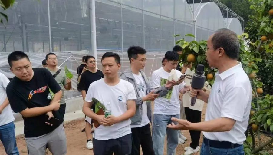 视频种植竹荪技术要求_竹荪种植技术视频_竹荪的种植栽培技术视频