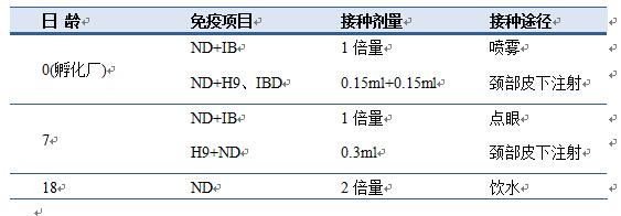 白羽肉鸡饲养管理_白羽肉鸡养殖技术大全_养殖大全肉鸡白羽技术视频教程