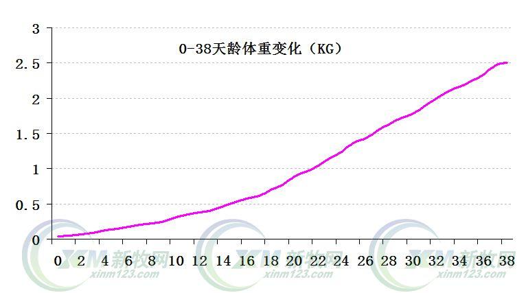 养殖大全肉鸡白羽技术视频教程_白羽肉鸡养殖技术大全_白羽肉鸡饲养管理