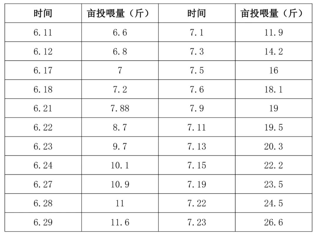 对虾南美淡水养殖_南美白对虾淡水池塘养殖技术_池塘南美白对虾养殖技术