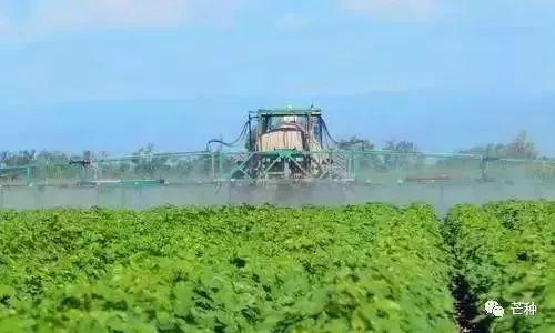 农广天地种植水稻技术视频_农广致富经水稻苗土_致富经稻田养鱼视频