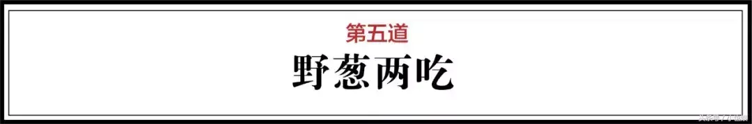 致富经塘鳢养殖视频_养殖致富项目视频_养殖塘鲺8000斤赚多少