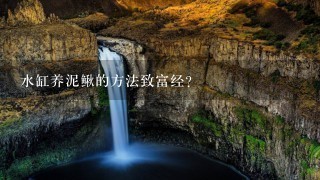 水缸养泥鳅的方法致富经？用什么方法可以下载致富经视频