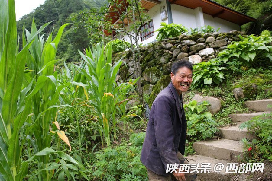 致富种植白芨人工合法吗_种植白芨致富项目_白芨种植致富人