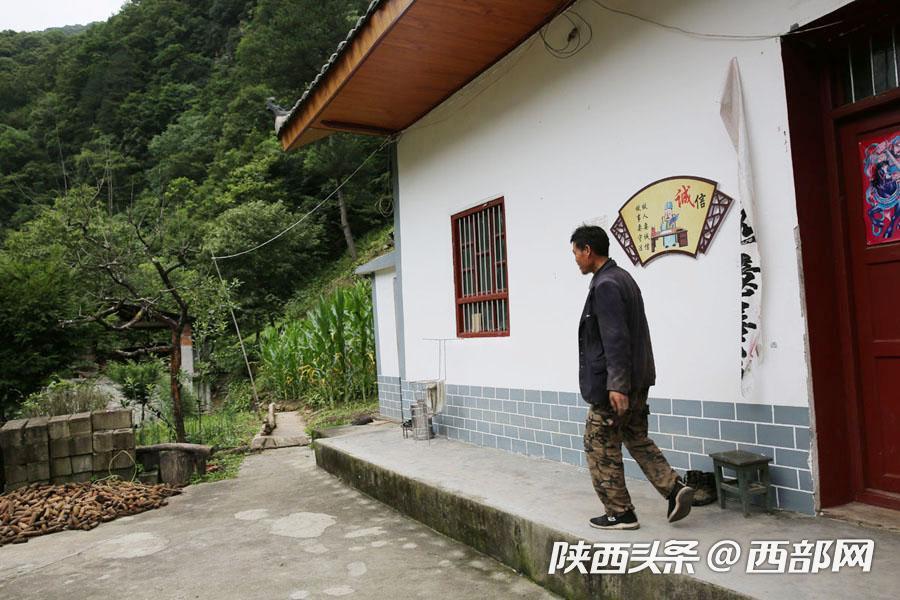 白芨种植致富人_致富种植白芨人工合法吗_种植白芨致富项目