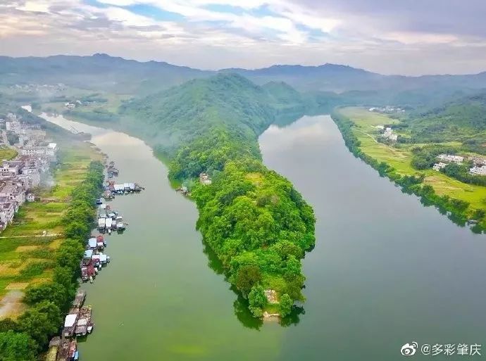 油板栗种源_油栗种植致富_油栗种植效益