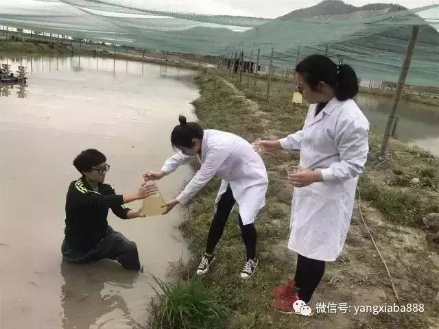 废水养殖水产治理技术论文_水产养殖废水治理技术_废水养殖水产治理技术规程