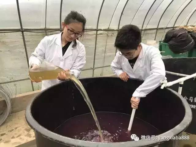 水产养殖废水治理技术_废水养殖水产治理技术论文_废水养殖水产治理技术规程