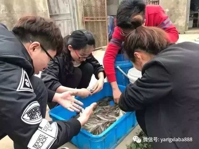 水产养殖废水治理技术_废水养殖水产治理技术规程_废水养殖水产治理技术论文