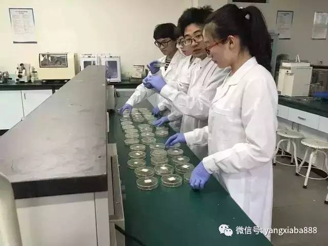 废水养殖水产治理技术规程_废水养殖水产治理技术论文_水产养殖废水治理技术