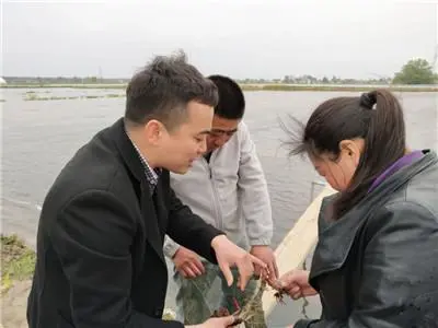 藕虾混养新技术_虾藕共生种植技术要点_藕虾共生种植技术