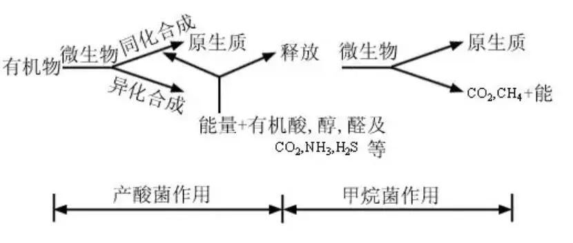 水产养殖废水处理工艺_水产养殖废水的主要处理工艺_水产养殖废水治理技术