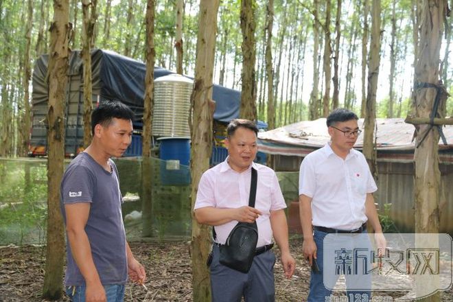 土鸡养殖致富经2019年全集_土鸡养殖致富模式_致富经土鸡养殖技术视频