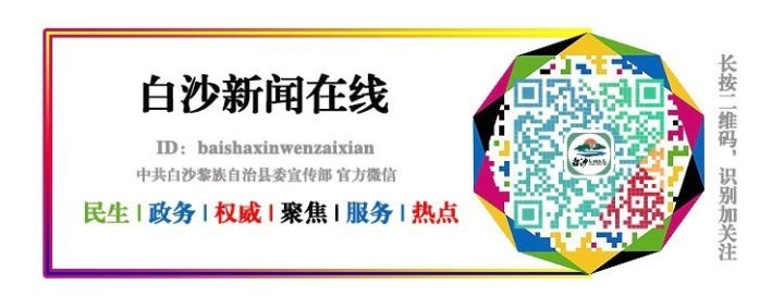 海南小黄牛养殖利润地有几个_海南小黄牛致富经_海南小黄牛多少钱一斤