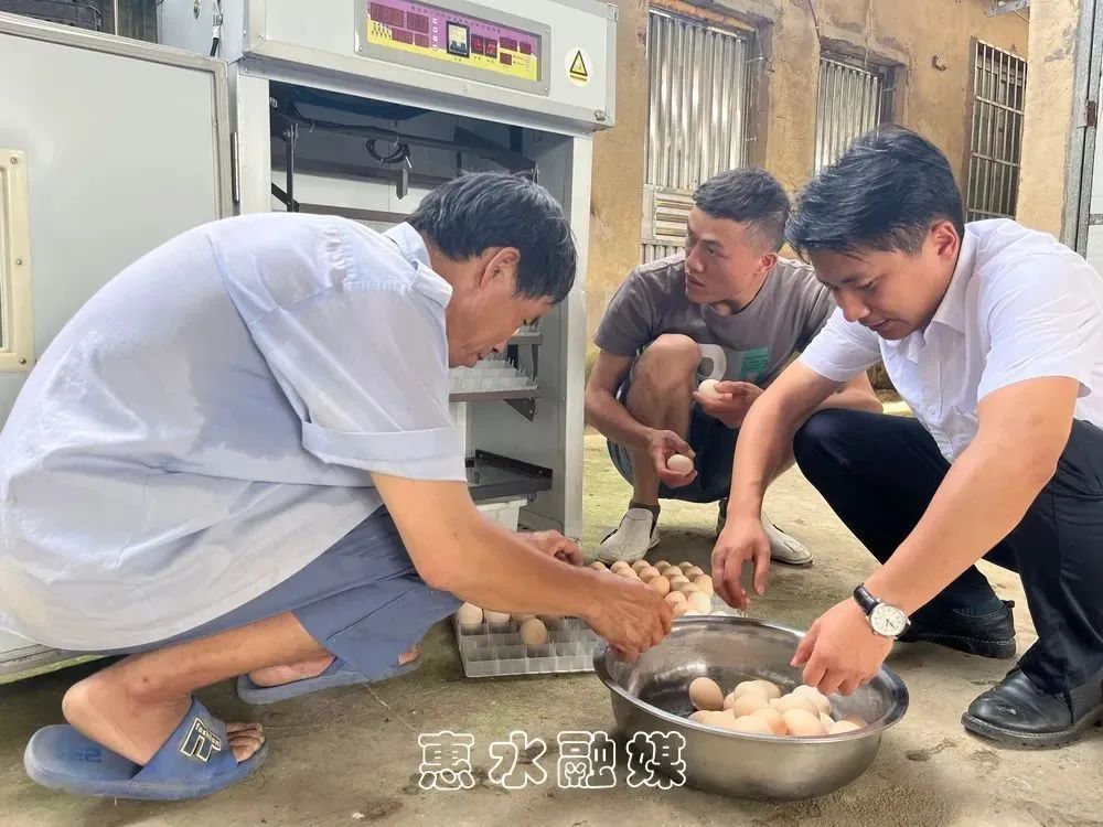 致富养殖土鸡模式怎么样_土鸡养殖致富模式_致富养殖土鸡模式是什么