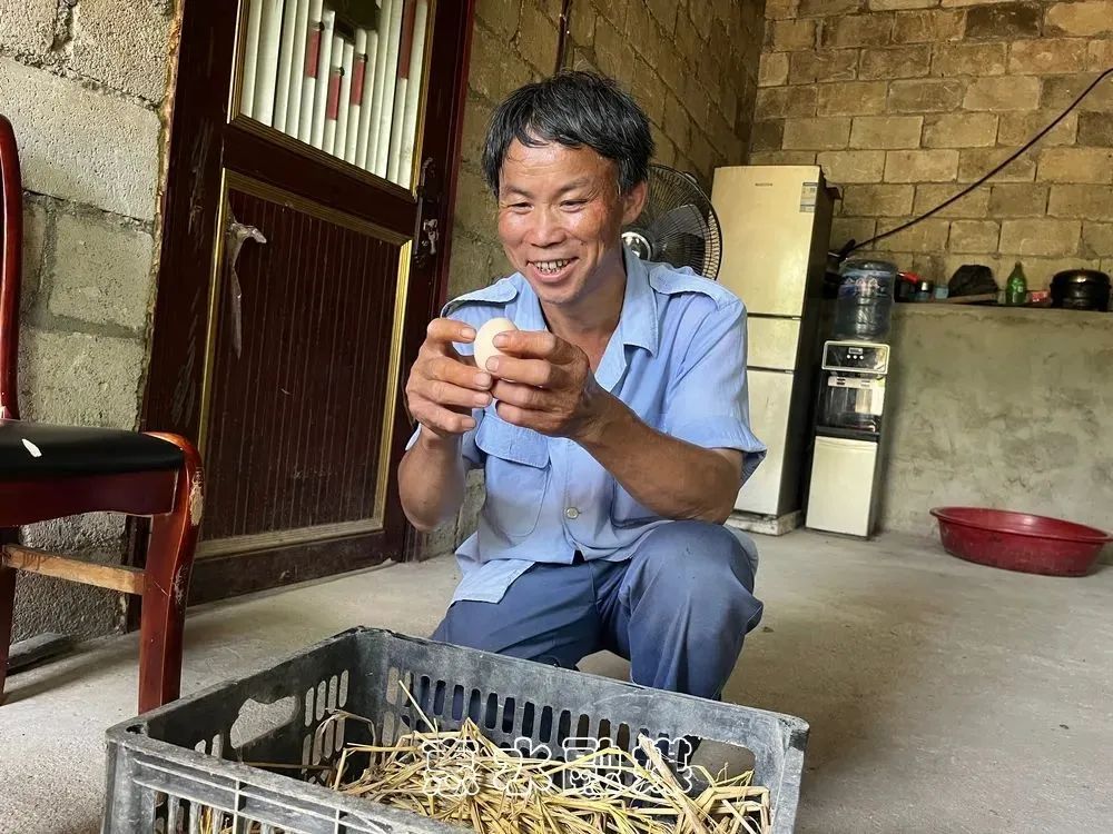 土鸡养殖致富模式_致富养殖土鸡模式怎么样_致富养殖土鸡模式是什么