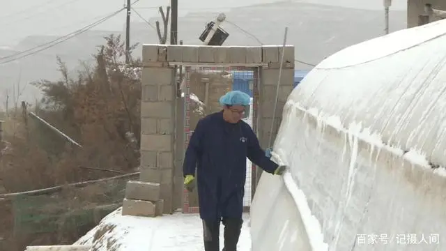 土鸡养殖致富经2019年全集_致富养殖土鸡模式视频_土鸡养殖致富模式