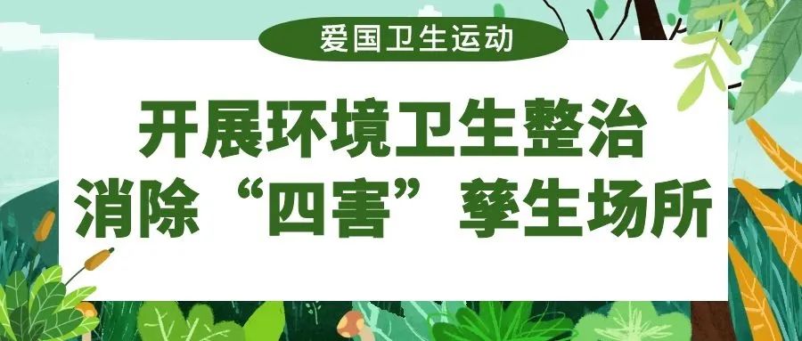 养土鸡苗要注意什么_苗养殖大全土鸡技术视频教程_土鸡苗养殖技术大全