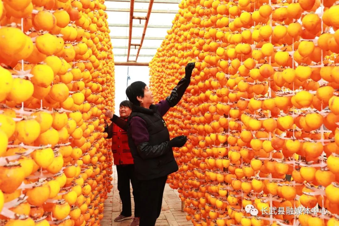 致富柿子种植方法_柿子种植致富吗_柿子种植