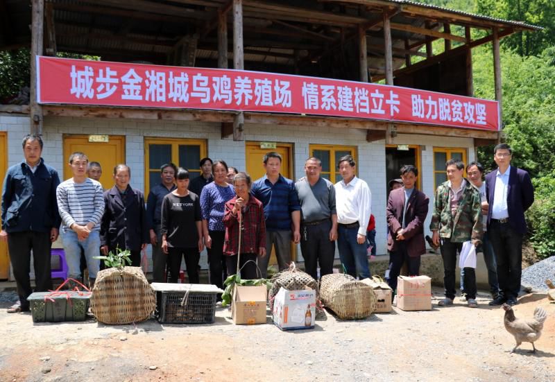 土鸡养殖致富模式_致富养殖土鸡模式是什么_致富养殖土鸡模式怎么样