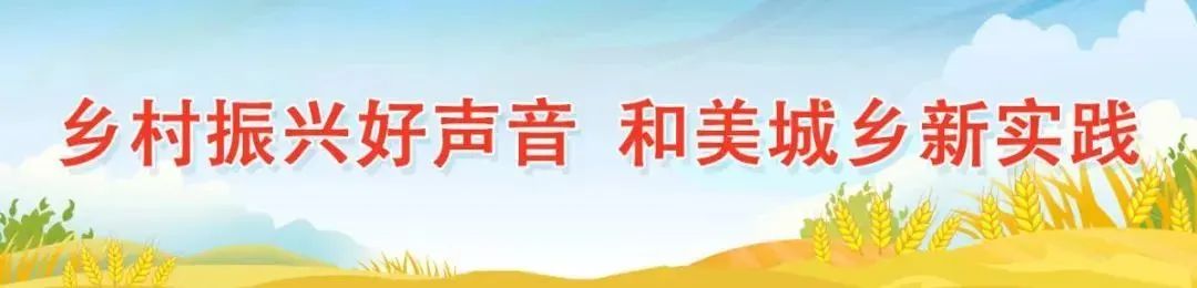 桃子红了！常店镇：栽种“甜蜜桃” 收获“致富果”