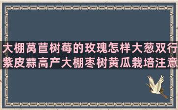 大棚莴苣树莓的玫瑰怎样大葱双行紫皮蒜高产大棚枣树黄瓜栽培注意事项