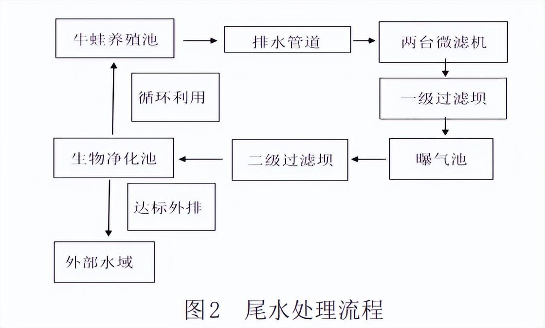 牛蛙养殖技术_养殖牛蛙技术视频_养殖牛蛙技术培训