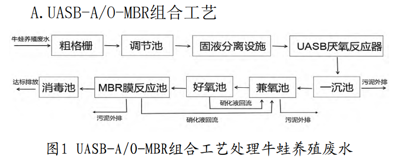 养殖牛蛙技术培训_养殖牛蛙技术视频_牛蛙养殖技术