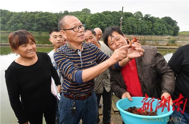 合肥网红龙虾店是哪家_致富经武汉合肥龙虾馆_合肥龙虾基地