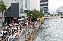 致富种植沙土视频_沙土种植致富_致富种植沙土图片