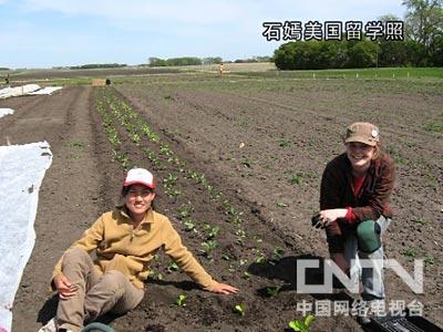 女博士 致富经_女博士嫁给富豪_致富经女博士种芽苗菜