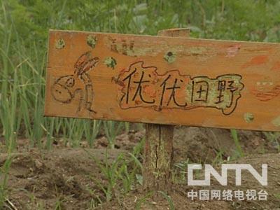 女博士嫁给富豪_女博士 致富经_致富经女博士种芽苗菜
