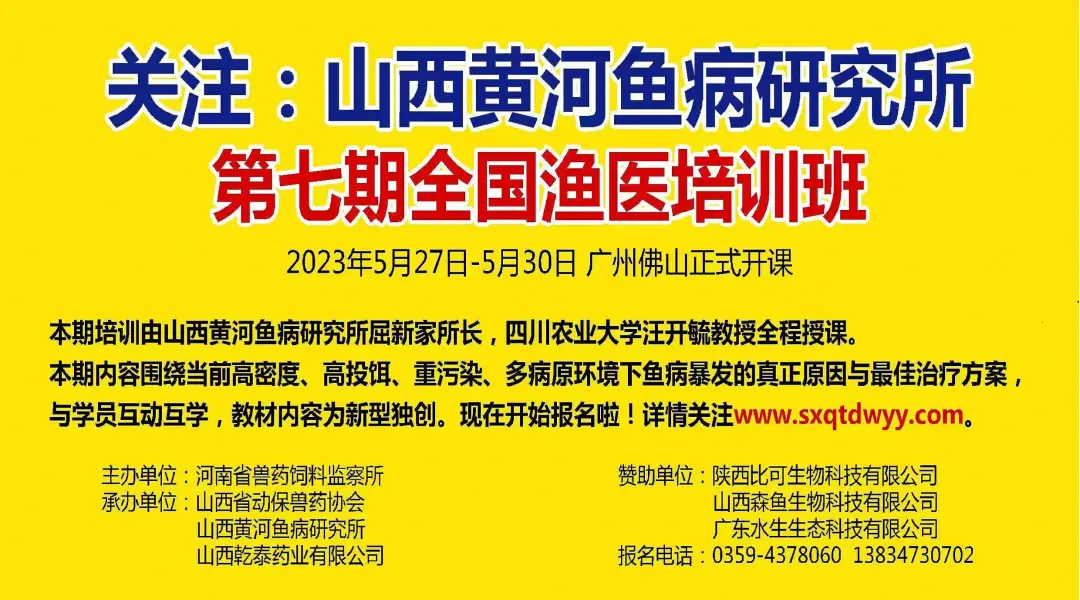 回捕率低、水质差、对虾越抓越小？！他们提出了解决方案…