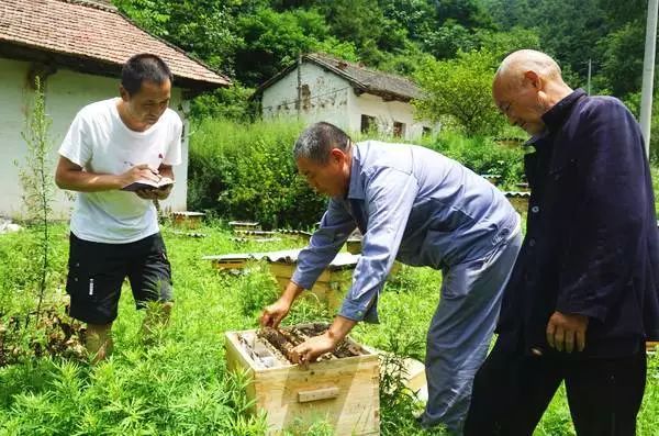 种花致富经_种花致富选什么品种_花卉种植致富密码