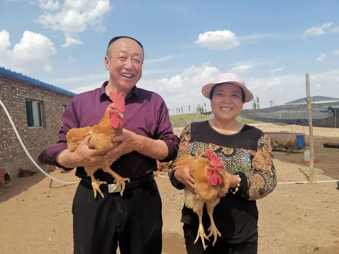 致富养殖土鸡图片_致富养殖土鸡视频_土鸡养殖致富经