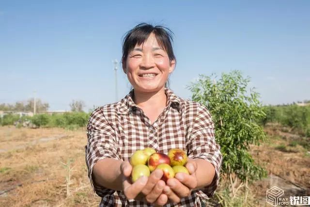 靠种冬枣致富！新疆万亩果园帮助成百上千家庭脱贫致富