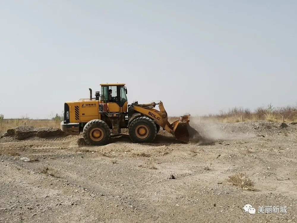 致富种羊养殖基地_养羊养殖基地_农村养殖致富养羊