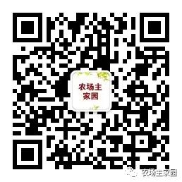 稻田养殖青蛙技术_稻田养殖青蛙技术_稻田养殖青蛙技术