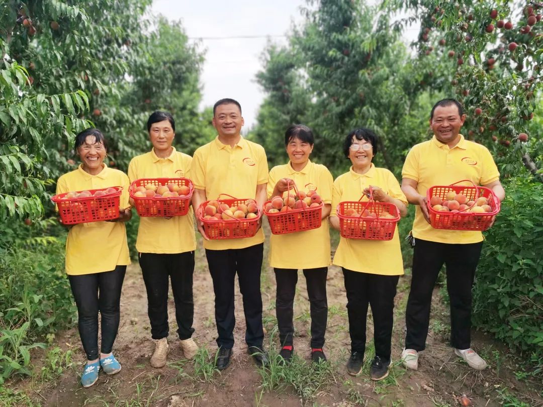 葡萄种植致富能手_致富经种植葡萄视频_致富经葡萄种植