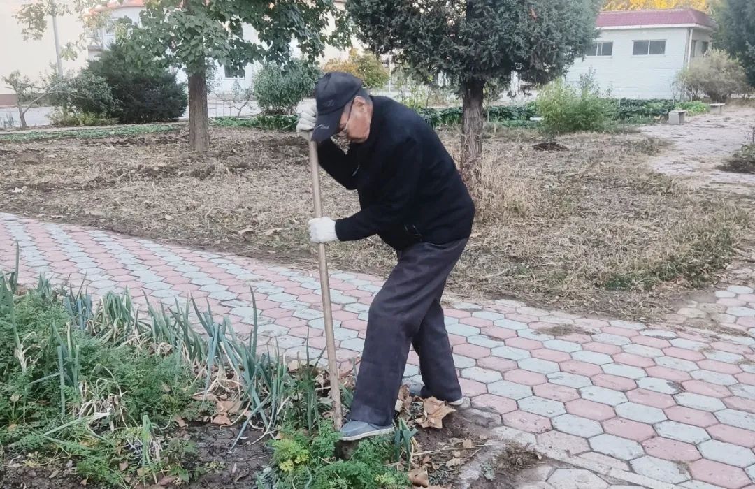 致富经种植葡萄视频_致富经葡萄种植_葡萄种植致富能手