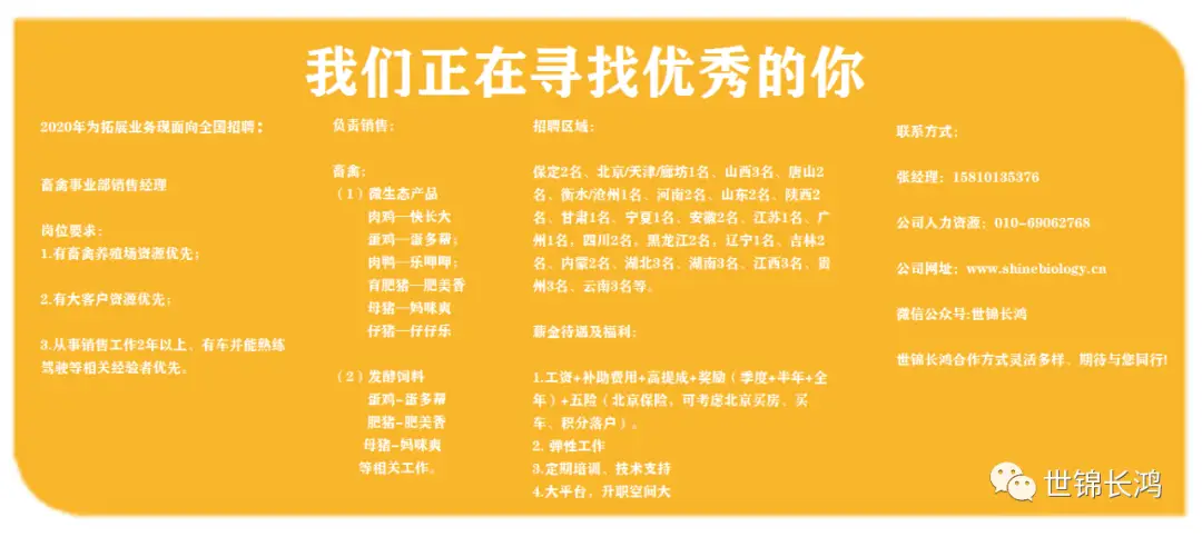 养殖山鸡雏鸡技术要点_山鸡雏鸡养殖技术_养殖山鸡雏鸡技术要求