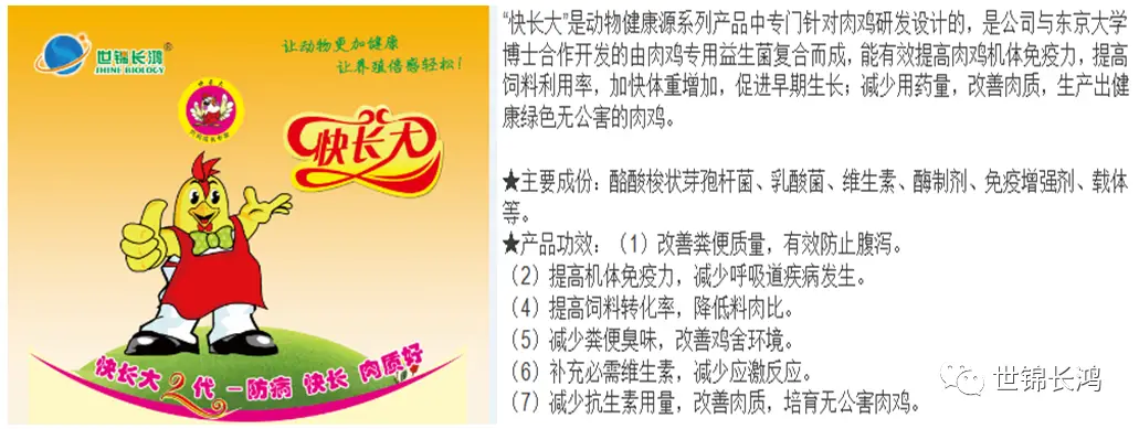 养殖山鸡雏鸡技术要点_养殖山鸡雏鸡技术要求_山鸡雏鸡养殖技术