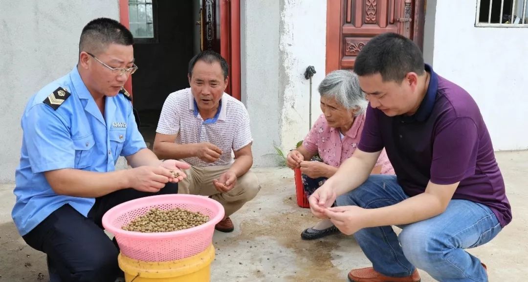 农业致富种植项目_农业致富种植_农村致富项目种植业