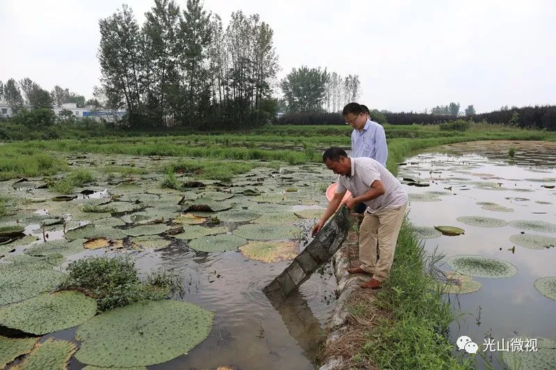 农业致富种植项目_农业致富种植_农村致富项目种植业