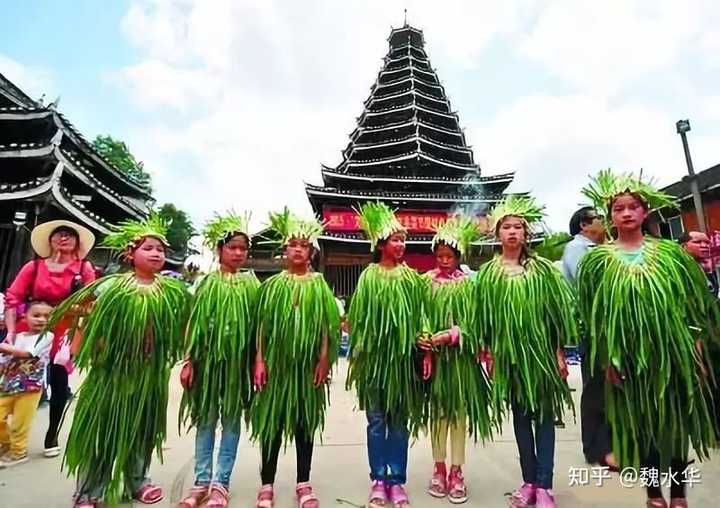 韭黄高产种植视频_致富经韭黄_韭黄种植效益怎么样