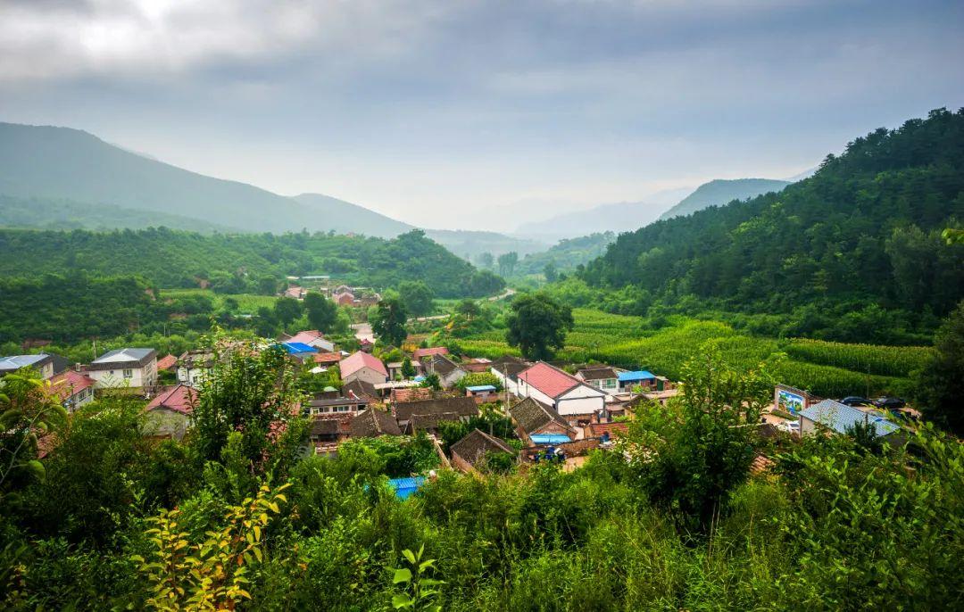 致富山楂种植视频_致富经山楂种植_种植山楂前景怎么样