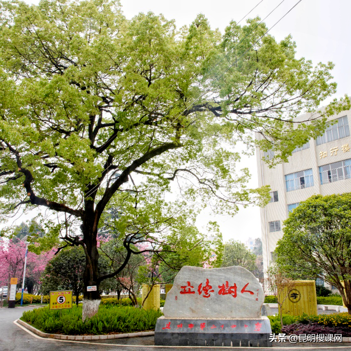 外研社优质课分享经验_外研版英语优质课_外研社小学英语优质课