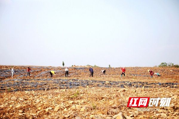 养殖致富兔踏上致富路_致富经养兔致富视频_致富经养兔亏钱一塌糊涂