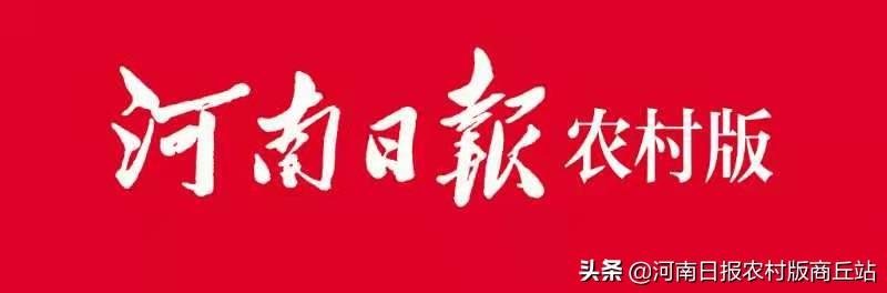 柘城：发展“种养加”致富你我他