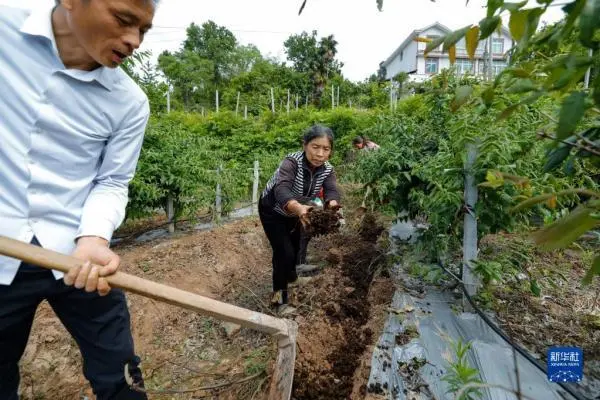 致富经杨天龙_致富经杨龙_致富天地